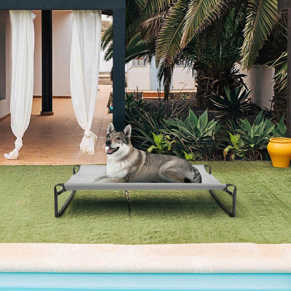 Tucker Murphy Pet™ Original Cooling Elevated Dog Bed, Outdoor Raised